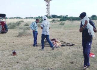 Unknown person poisoned cows in Kodamdesar, six cows died