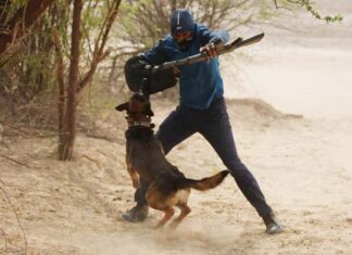 Dogs and eagles also cooperate with technology in tracing terrorists, watch video…