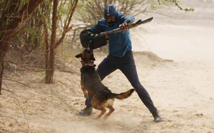 Dogs and eagles also cooperate with technology in tracing terrorists, watch video…